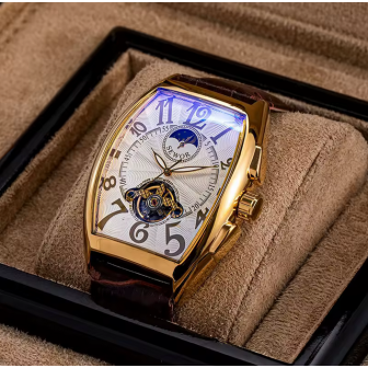 NTA-LIGHT CHRONIA- Montre Mécanique Automatique élégant Homme en Véritable Cuir – Prestige en Acier Inoxydable