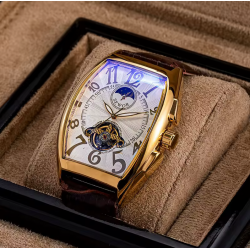 NTA-LIGHT CHRONIA- Montre Mécanique Automatique élégant Homme en Véritable Cuir – Prestige en Acier Inoxydable